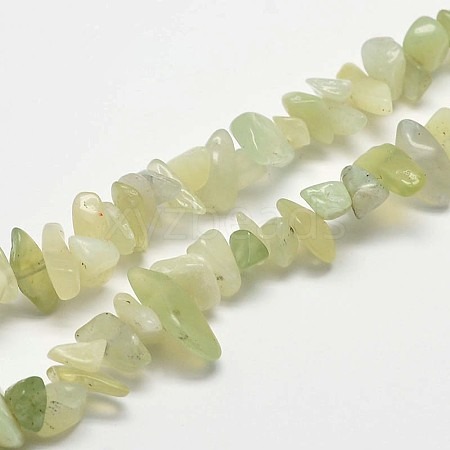 Chip Natural New Jade Beads Strands G-N0144-01-1
