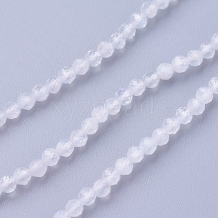 Natural Rainbow Moonstone Beads Strands G-F619-19-2mm-1