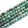 Natural Green Onyx Agate Beads Strands G-K310-C02-8mm-1