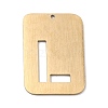 Ion Plating(IP) 304 Stainless Steel Pendants STAS-K216-49L-G-1