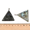 Natural Labradorite Pendants G-K338-36P-3