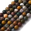Natural Ocean Agate/Ocean Jasper Beads Strands G-G772-06-B-1