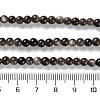 Natural Silver Obsidian Beads Strands X-G-S150-20A-4mm-5