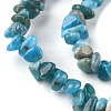 Natural Apatite Beads Strands G-G0003-B08-4