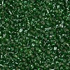 8/0 Glass Seed Beads X2-SEED-A005-3mm-27-2