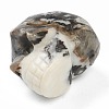 Halloween Natural Zebra Jasper Home Decorations DJEW-K015-17-3