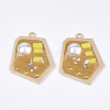 Epoxy Resin Pendants RESI-S365-74E-1