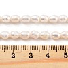 Natural Cultured Freshwater Pearl Beads Strands PEAR-P062-16B-5