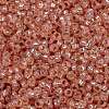 MIYUKI Round Rocailles Beads SEED-JP0010-RR0642-3