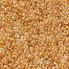 MIYUKI Round Rocailles Beads SEED-JP0010-RR0234-3