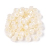 Glass Seed Beads SEED-T008-01B-2