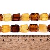 Natural Amber Beads Strands G-N371-15B-01-5