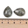 Natural Labradorite Cabochons G-H094-01A-19-3