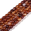 Natural Red Agate Beads Strands G-NH0011-I01-02-2