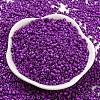 Baking Paint Glass Seed Beads SEED-S042-05A-29-2