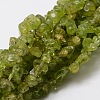 Grade A Natural Peridot Chip Bead Strands G-M298-05-1