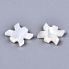 Natural White Shell Beads X-SSHEL-ZX004-02E-2