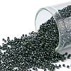 TOHO Round Seed Beads SEED-JPTR15-0089-1