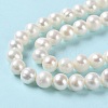Natural Cultured Freshwater Pearl Beads Strands PEAR-E018-48-4