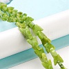 Natural Howlite Beads Strands TURQ-K006-01B-2