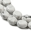 Natural Howlite Beads Strands G-M420-D04-01-4