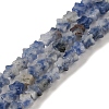 Natural Blue Spot Jasper Beads Strands G-G085-B41-01-1