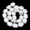 Natural Howlite Beads Strands G-K245-K02-01-2