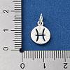 925 Sterling Silver Constellations Charms LS-STER-M118-01D-3