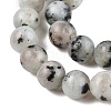 Natural Sesame Jasper/Kiwi Jasper Bead Strands G-R345-6mm-36-4