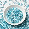 Opaque & Transparent Inside Colours Glass Seed Beads SEED-F004-01B-2