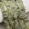 Natural Prehnite Beads Strands GG-CBAC61B-C02-01-1