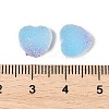 Imitation Candy Food Style Resin Cabochons RESI-R461-01M-4