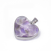 Natural Amethyst Pendants X-STAS-T043-01H-2