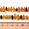 Natural Amber Beads Strands G-T138-237-4