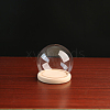 High Borosilicate Glass Dome Cover DJEW-PW0001-22C-02-1