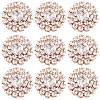 AHADERMAKER 30Pcs Alloy Rhinestone Cabochons ALRI-GA0001-09KCG-1