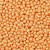 6/0 Glass Seed Beads X1-SEED-L011-08A-19-3