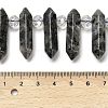 Natural Larvikite Double Terminated Point Beads Strands G-H069-A06-01-4