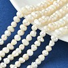 Natural Cultured Freshwater Pearl Beads Strands PEAR-N013-05H-5