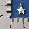 925 Sterling Silver Charms FIND-U013-06S-02-3