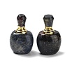 Natural Sodalite Dropper Bottles DJEW-K024-01G-02-1