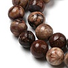 Natural Gemstone Beads Strands G-R494-A22-02-3