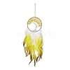 Iron Woven Web/Net with Feather Pendant Decorations AJEW-B017-12-1