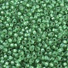 MIYUKI Round Rocailles Beads SEED-JP0008-RR0646-3