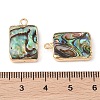 Natural Paua Shell Pendants SHEL-P017-16G-3