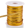 Sparkle Nylon Ribbon OCOR-GF0004-48B-07-6
