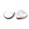 Natural Black Lip Shell Beads SSHEL-N020-026A-2