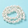 Natural Cultured Freshwater Pearl Beads Strands PEAR-Z002-01-3