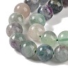 Natural Fluorite Beads Strands G-P530-B04-04-3