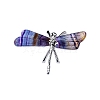 Natural Fluorite Dragonfly Home Desktop Decoration PW-WG25335-01-1